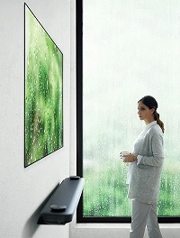 壁掛けテレビ　LG OLED TV W
